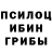 Псилоцибиновые грибы Magic Shrooms kaylai boone
