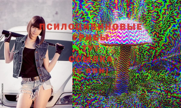 стаф Алексин