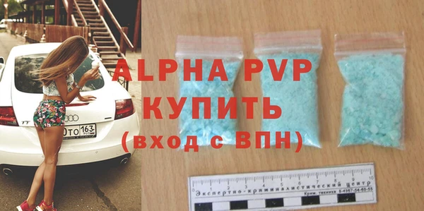 стаф Алексин